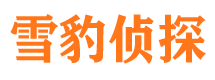 神农架侦探公司